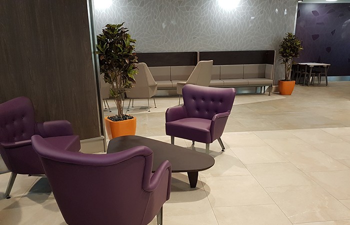 Design Insider Race Lounge Purple Chairs